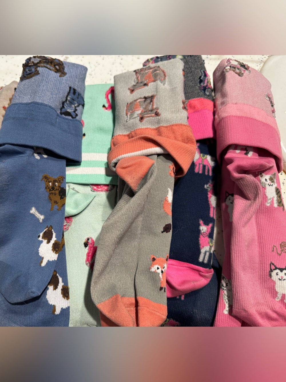 Set of 5 Compression Socks Animal Based